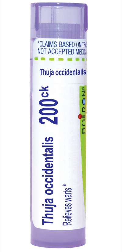 Thuja occidentalis 200CK 80 plts Curated Wellness