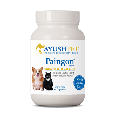 Pet Paingon 60 caps Curated Wellness