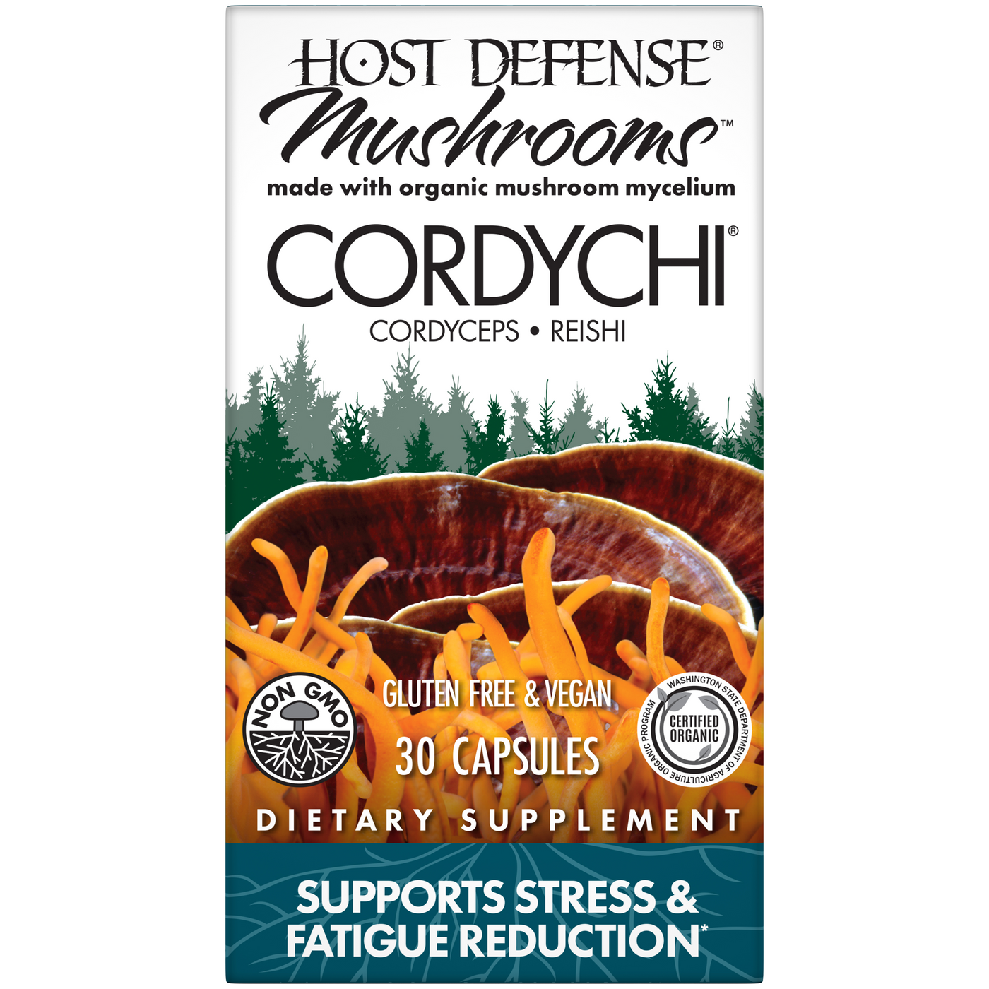 Cordychi  Curated Wellness