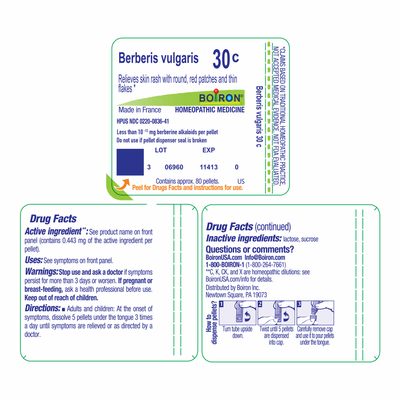Berberis Vulgaris 30C 80 plts Curated Wellness