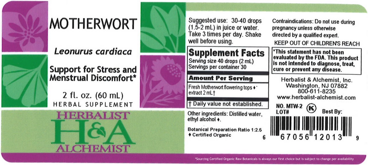 Motherwort Extract  Curated Wellness