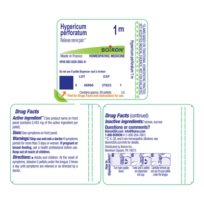 Hypericum perforatum 1M 80 plts Curated Wellness