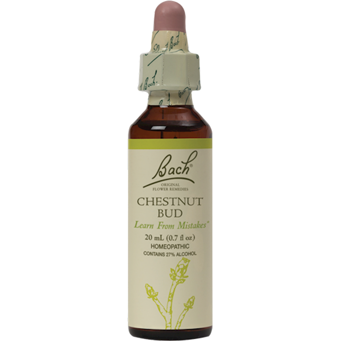 Chestnut Bud Flower Essences  Curated Wellness