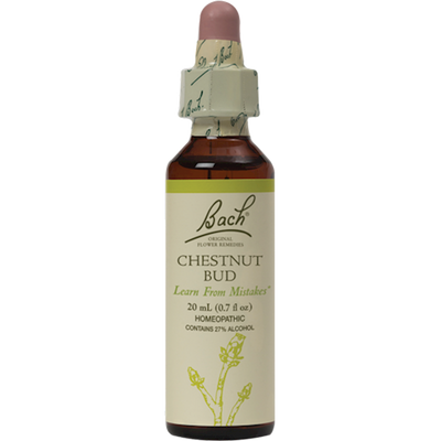 Chestnut Bud Flower Essences  Curated Wellness