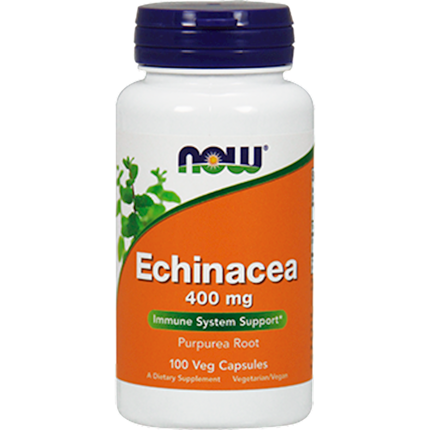 Echinacea Root 400 mg  Curated Wellness