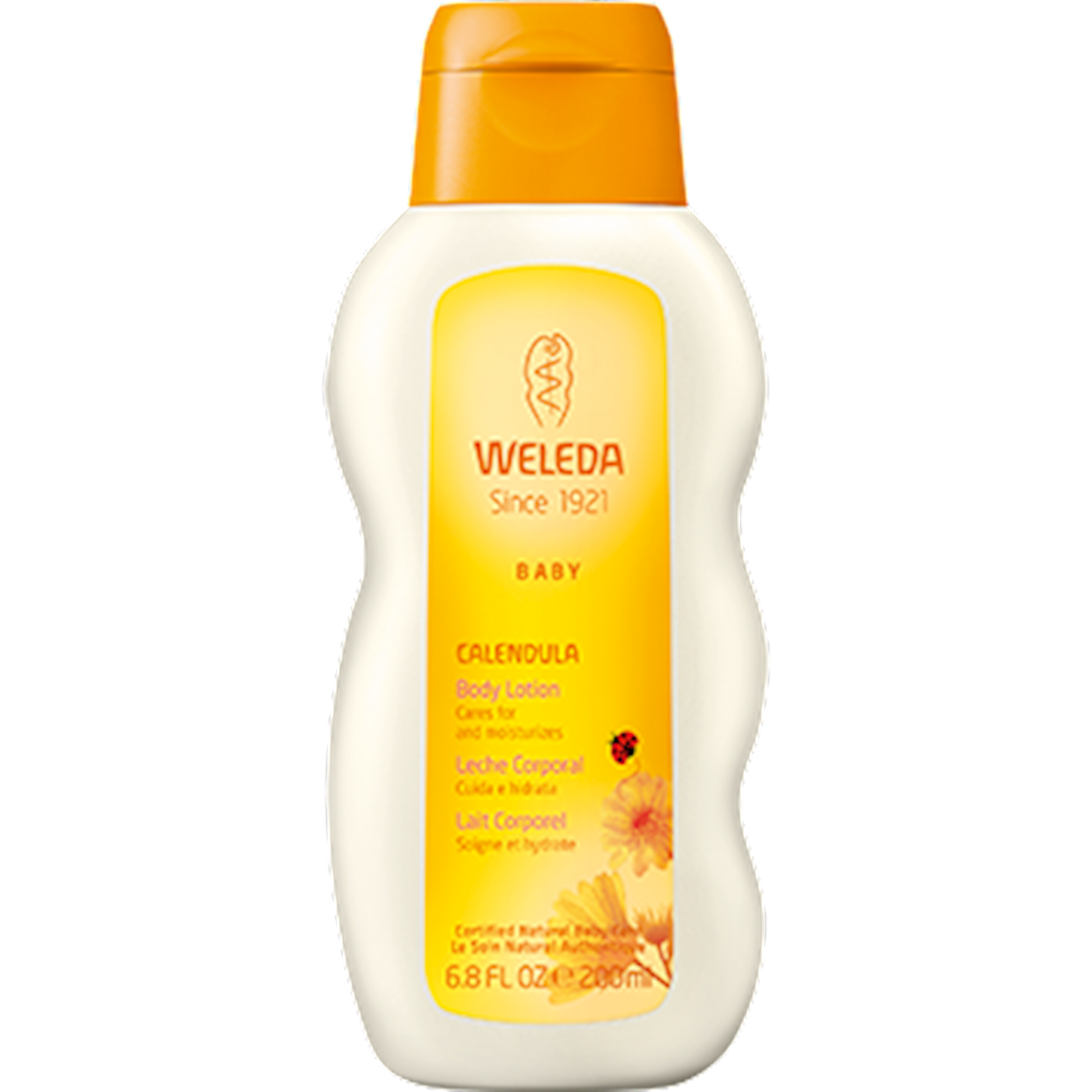 Calendula Body Lotion 6.8 oz Curated Wellness