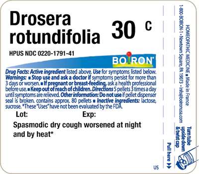 Drosera rotundifolia 30C 80 plts Curated Wellness