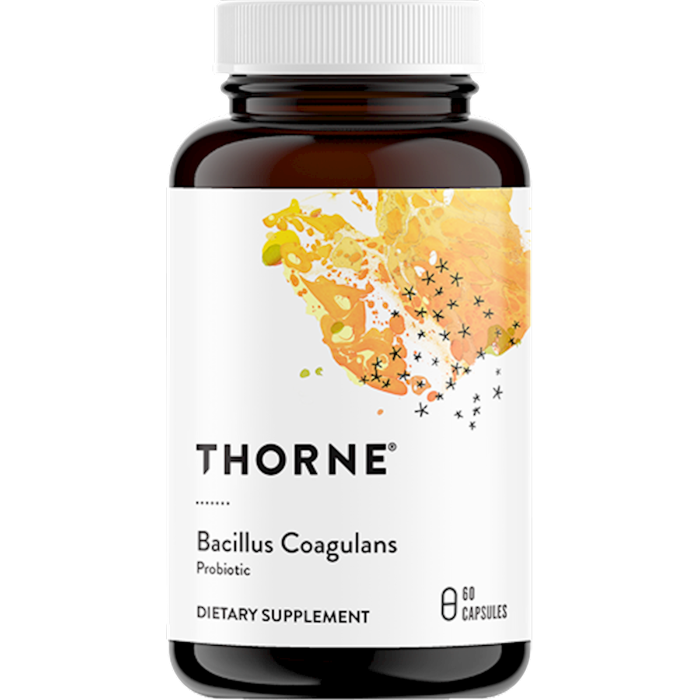 Bacillus Coagulans  Curated Wellness