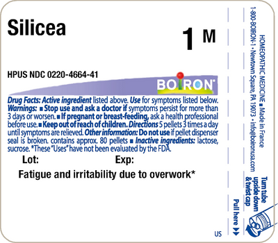 Silicea 1M 80 plts Curated Wellness