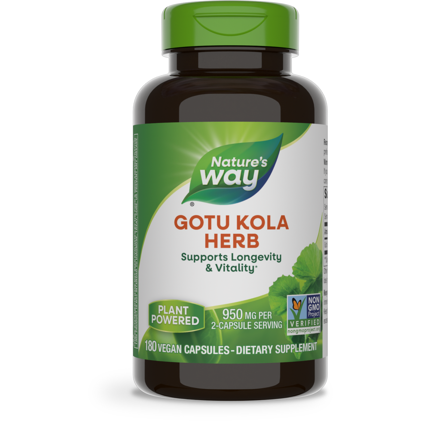 Gotu Kola Herb  Curated Wellness