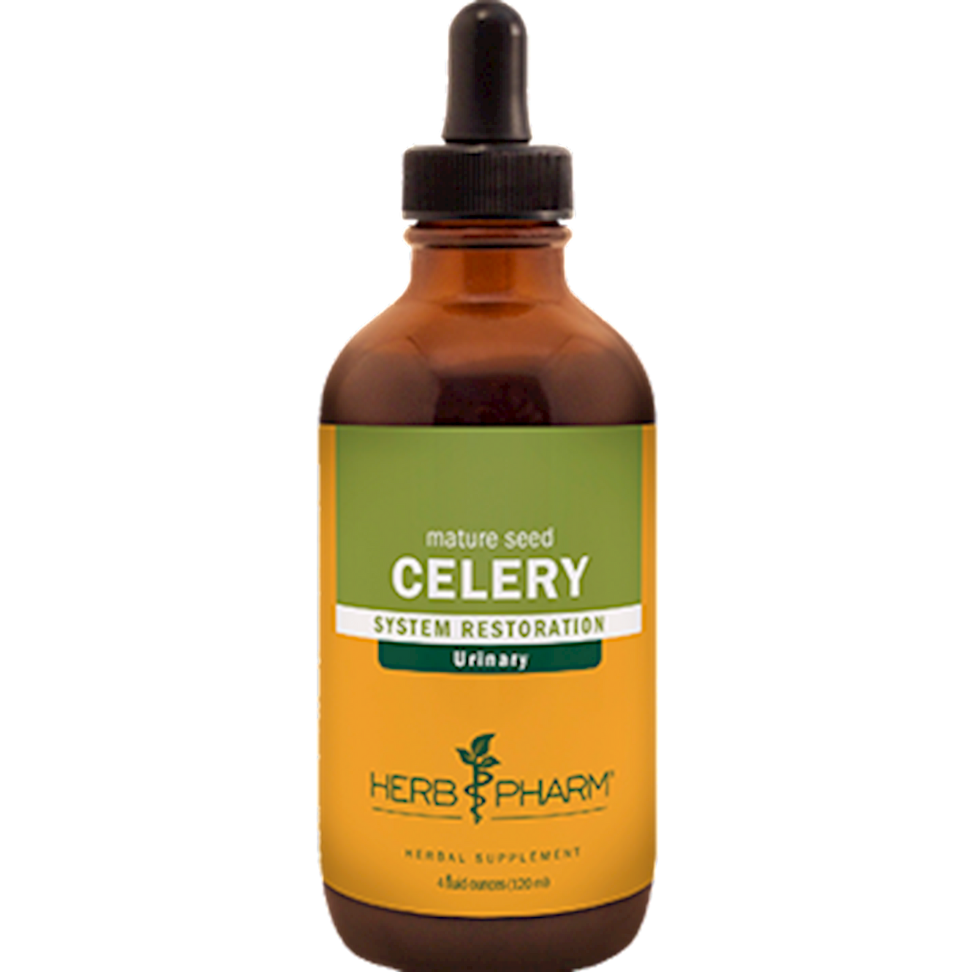 Celery  Curated Wellness