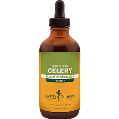 Celery  Curated Wellness