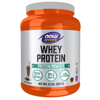 Whey Protein Dutch Chocolate  Curated Wellness