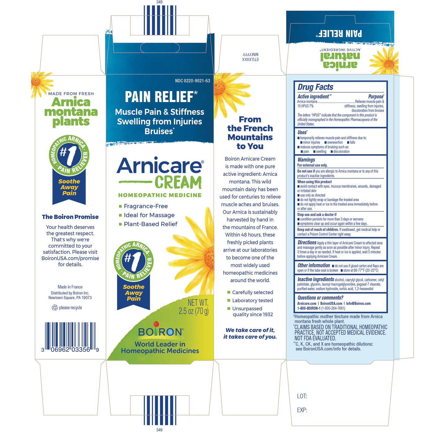 Arnicare Cream  Curated Wellness