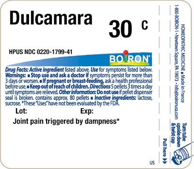 Dulcamara 30C 80 plts Curated Wellness