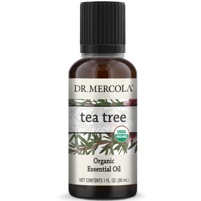 Organic Tea Tree Essential Oil 1 fl oz Curated Wellness