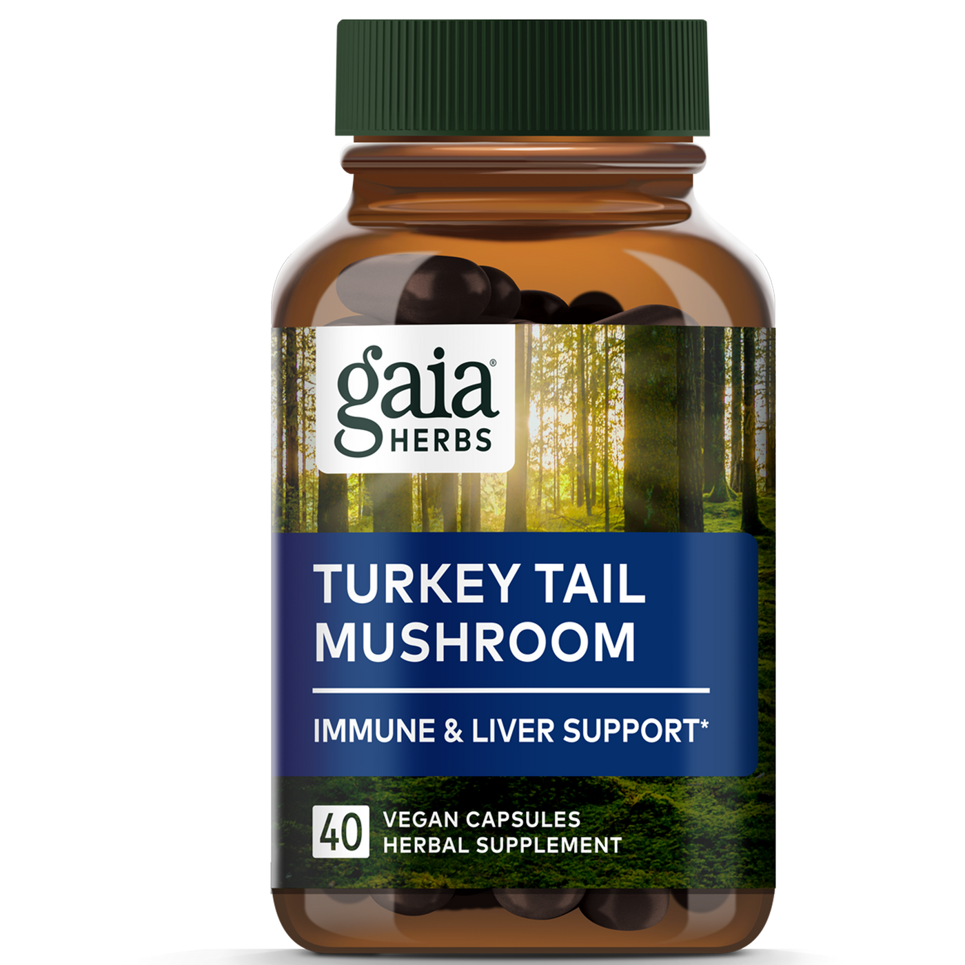 Turkey Tail Mushroom  Curated Wellness