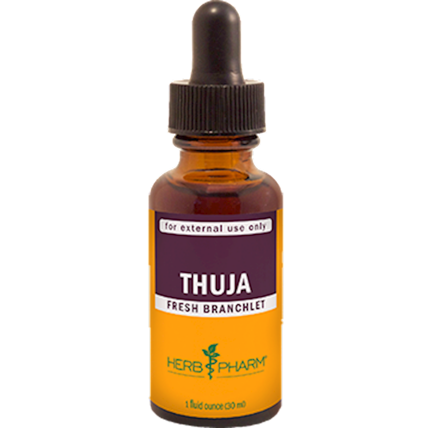 Thuja  Curated Wellness