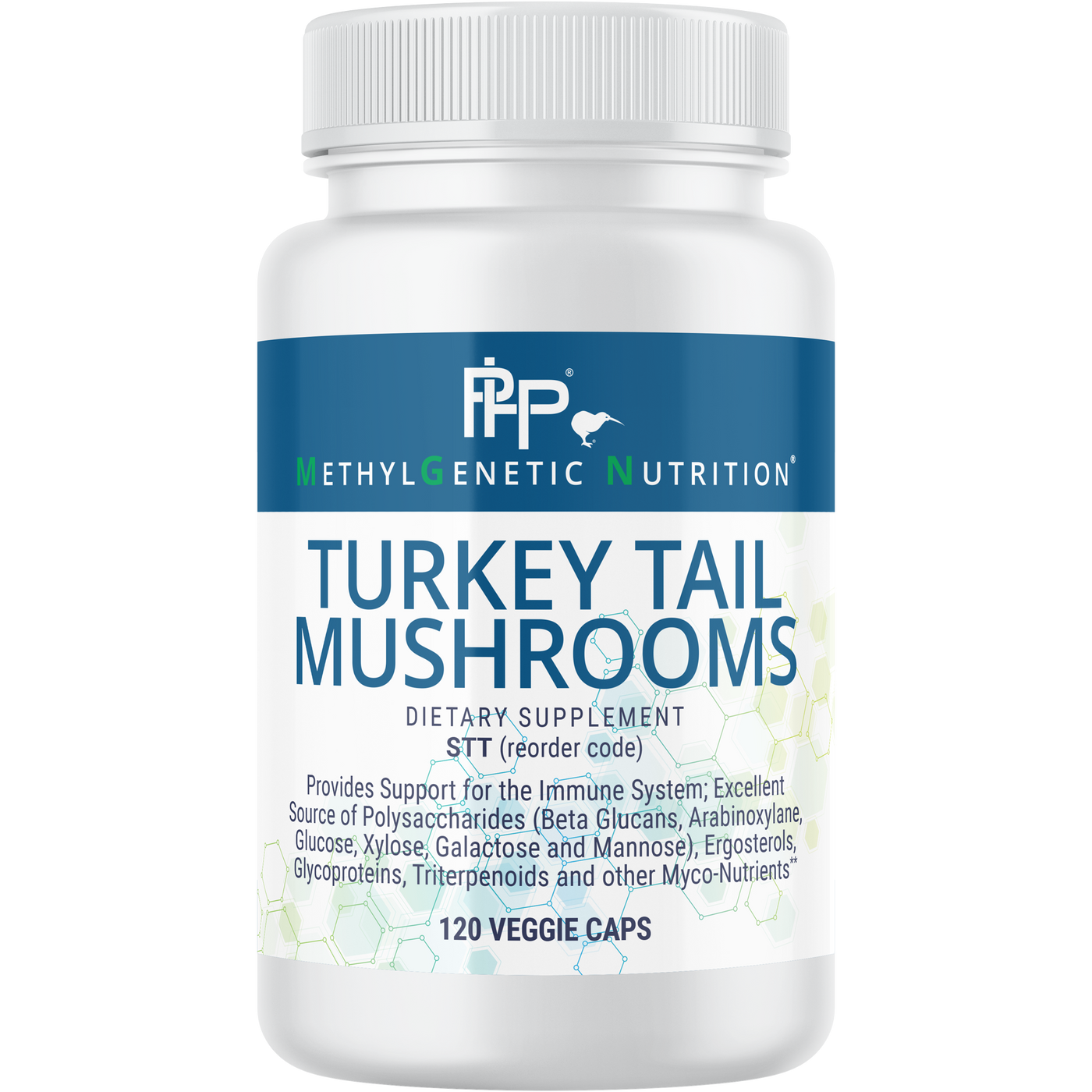 Turkey Tail Mushrooms  Curated Wellness