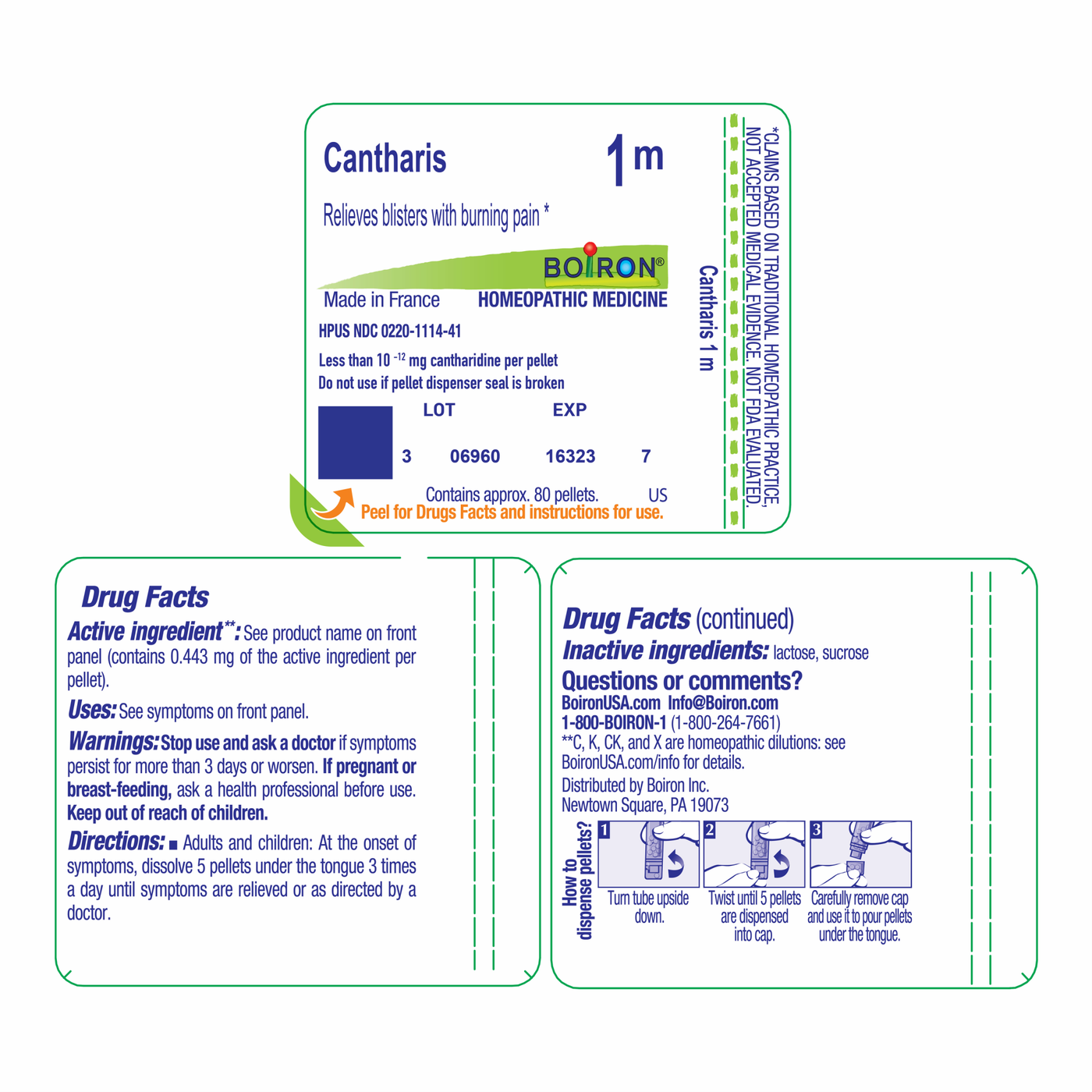 Cantharis 1M 80 plts Curated Wellness