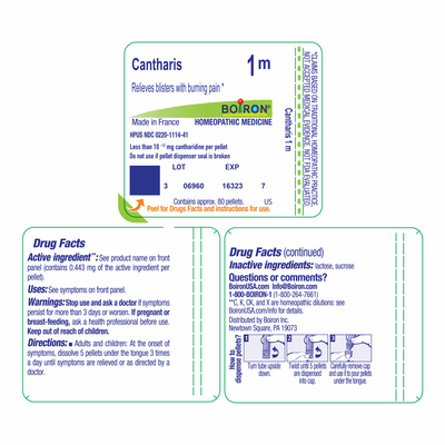 Cantharis 1M 80 plts Curated Wellness