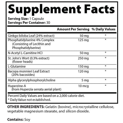 Focus and Memory Support*